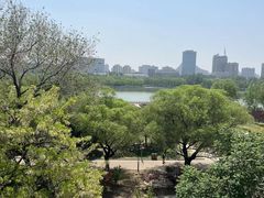 -莲花池公园