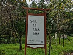 -四明山国家森林公园