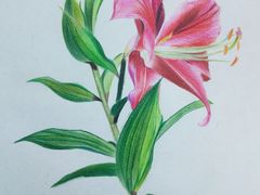 -八哥美术·成人美术画室(总校区)