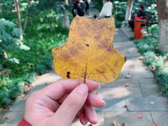 -杭州半山国家森林公园