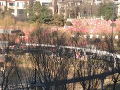 -西安曲江寒窑遗址公园