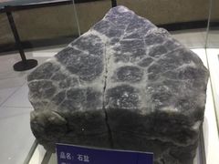 -青藏高原自然博物馆