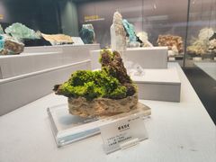 -湖南省地质博物馆