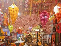 -吉祥圣雪藏餐