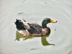 -阿育王寺