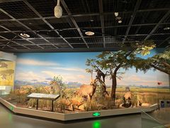 -陕西自然博物馆