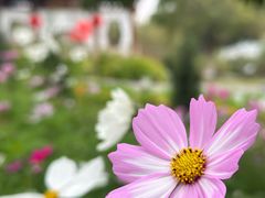 -广西壮族自治区药用植物园