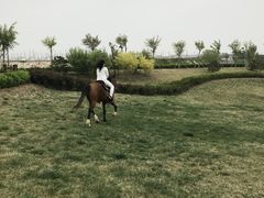 -丹世红酒庄·烧烤·团建·婚礼·水上运动