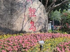 -野狸岛
