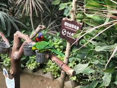 -南宫五洲植物乐园