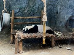-深圳野生动物园