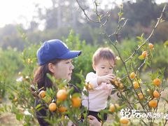 -梁子湖东篱老屋生态庄园