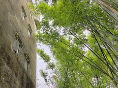 -开平碉楼文化旅游区马降龙景区