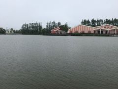 -上海长兴岛郊野公园