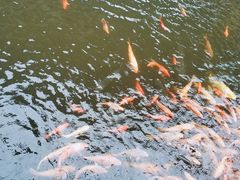 -威海华夏城景区