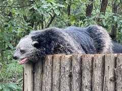 -云南野生动物园