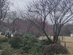 -浙江省博物馆(孤山馆区)