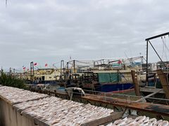 -大湾区中央湿地公园-十九涌