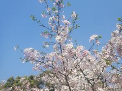 -南山植物园