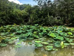-广州神农草堂中医药博物馆