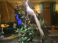 -泰谷玲抓龙筋SPA·泰式按摩(五一广场店)