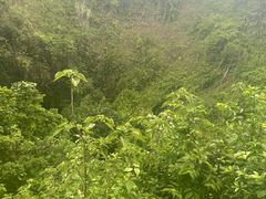 -海口火山口国家地质公园