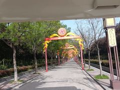 -洛阳市隋唐城遗址植物园