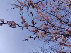 -吉林大学(南岭校区)