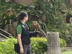 -新加坡飞禽公园