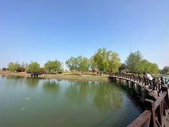 -泗洪洪泽湖湿地景区