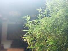 -晋江五店市传统文化旅游区