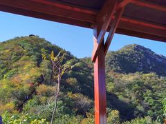 -大岭沟猕猴桃谷风景区