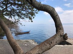 -抚仙湖禄充风景区