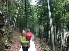 -藏龙百瀑风景区