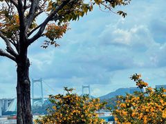-海沧湾公园