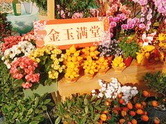 -海心沙亚运公园