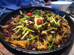 -老板恋上鱼(恒隆广场店)