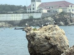 -大连老虎滩海洋公园