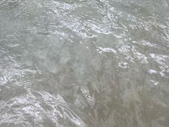 -龙达温泉生态城