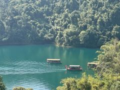 -鼎湖山风景区