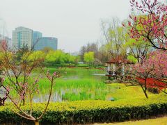 -新虹桥中心花园
