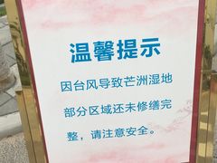 -芒洲湿地公园