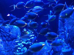 -成都浩海立方海洋公园