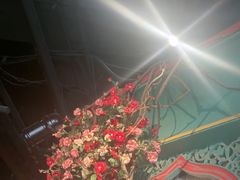 -纳瓦新疆菜(银都店)
