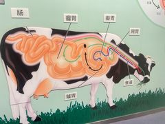 -君乐宝优致牧场