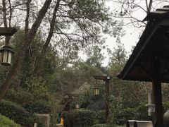 -天目湖涵田半山温泉