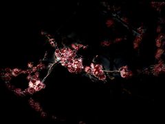 -四川北路(地铁站)