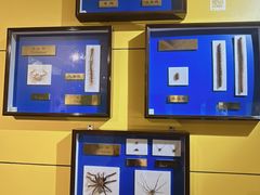 -上海昆虫博物馆