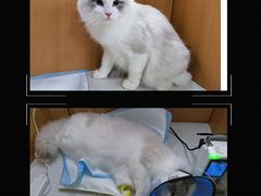-联合动物医院(光谷诊疗中心)