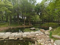 -尚贤河湿地